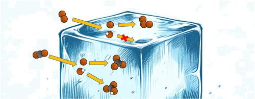 Solvation effects on the chemistry of the gas-phase O•−(H2O)n and OH−(H2O)n cluster ions with molecular oxygen and carbon dioxide