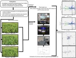 First insights into the AMMI and GGE biplot-based multi-environment analysis for morpho-chemical traits in spearmint (Mentha spicata L.) half-sib genotypes