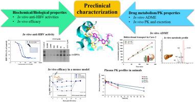 Preclinical characterization of a novel potent core protein assembly modulator for the treatment of chronic hepatitis B viral infection