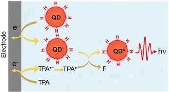 Observation of anodic electrochemiluminescence from silicon quantum dots for the detection of hydrogen peroxide†