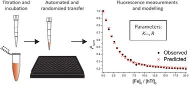 Protein sialylation affects the pH-dependent binding of ferric ion to human serum transferrin†