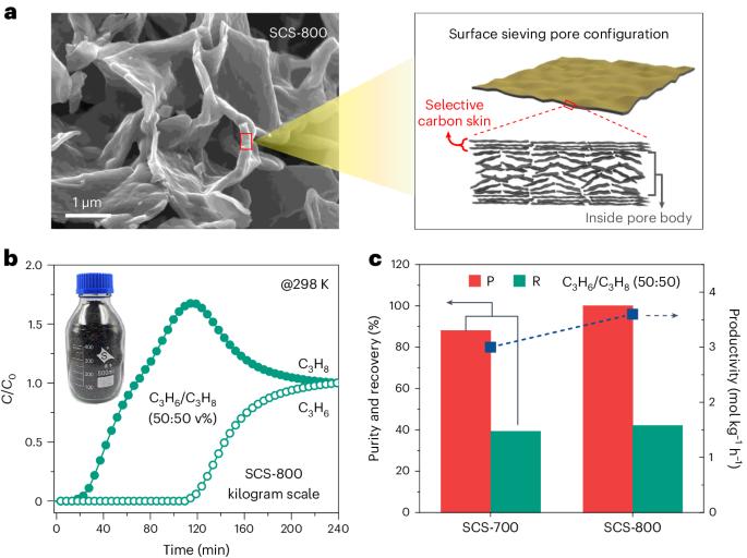 Kinetic separation of propylene and propane by surface sieving carbon skins