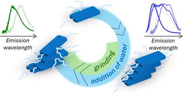 The effects of alkyl substitution on the aggregation of π-conjugated dyes: spectroscopic study and modelling†