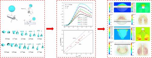 Dispersion Behavior of a Droplet Impacting a Single Fiber
