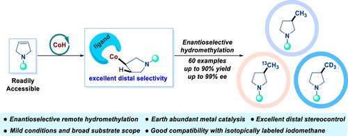 Regio- and Enantioselective Hydromethylation of 3-Pyrrolines and Glycals Enabled by Cobalt Catalysis