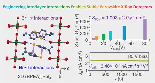 Multiple Interlayer Interactions Enable Highly Stable X-ray Detection in 2D Hybrid Perovskites