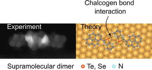 On-Surface Molecular Recognition Driven by Chalcogen Bonding