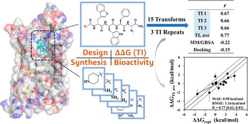 Peptide Drug Design Using Alchemical Free Energy Calculation: An Application and Validation on Agonists of Ghrelin Receptor