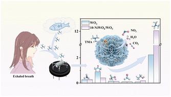 Design of 3D flower-like NiWO4/WO3 heterostructures with excellent trimethylamine sensing performance†