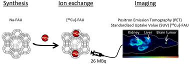 In vivo biodistribution and tumor uptake of [64Cu]-FAU nanozeolite via positron emission tomography Imaging†