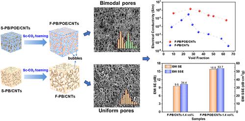 Regulating Porous Structure of Dual-Percolation Polybutene-1 (PB)/Poly(ethylene-co-octene) (POE)/Carbon Nanotube (CNT) Composites for Enhanced Electrical Conductivity and Electromagnetic Interference Shielding Performance