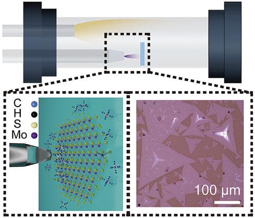 Large-Domain Monolayer MoS2 Synthesis via Local-Feeding Metalorganic Chemical Vapor Deposition