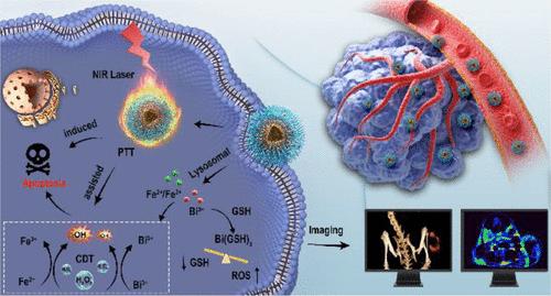 Biodegradable Poly(amino acid)–Bismuth Nanotheranostic Agents for CT/MR Imaging and Photothermal–Chemodynamic Synergistic Therapy