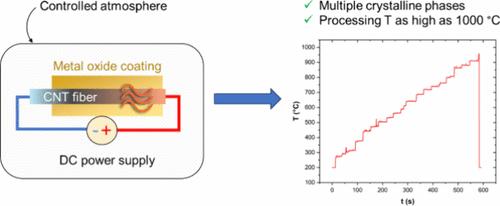 Joule Heating in Controlled Atmospheres to Process Nanocarbon/Transition Metal Oxide Composites and Electrodes