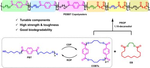 Chemical Recycling of Poly(butylene terephthalate) into Poly(ethylene brassylate-co-butylene terephthalate) with Tunable Thermal, Mechanical and Biodegradable Properties