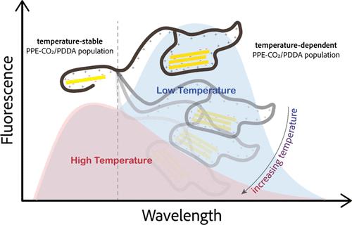 Self-Referenced Temperature Sensor Based on Conjugated Polyelectrolytes