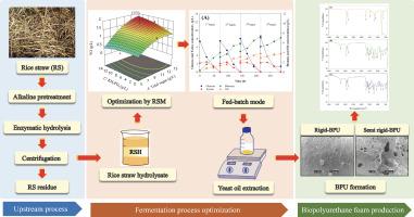 Sustainable production of yeast oil from rice straw hydrolysate by Pseudozyma parantarctica through fed-batch cultivation for bio-polyurethane foam formation