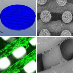 Electrospun and 3D printed scaffolds based on biocompatible polymers for 3D cultivation of glioblastoma cells in vitro