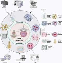 Seeing the unseen: The role of bioimaging techniques for the diagnostic interventions in intervertebral disc degeneration