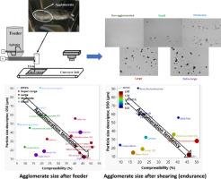 Powder agglomeration in continuous powder feeding by twin-screw feeder