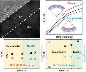 Strain-insensitive ferromagnetic SrRuO3 thin films with ferrimagnetic CoFe2O4 buffer layer