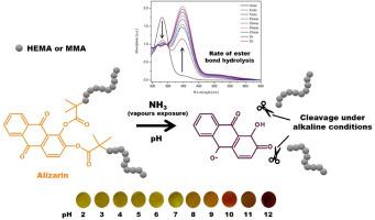 Designing pH-Responsive alizarin hybrids with easily tunable physicochemical properties via polymer grafting