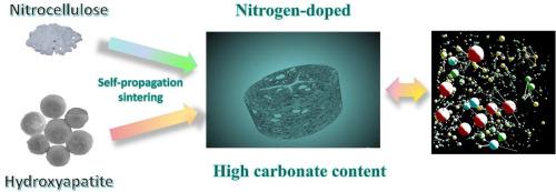 In-situ preparation of nitrogen-doped porous hydroxyapatite bioceramic with high carbonate content using nitrocellulose self-propagating sintering