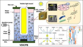 Degradation of conjugated estrogen in visible light-driven intimately coupled photocatalysis and biodegradation system