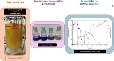 Improved productivity and dye removal performance of Trametes versicolor pellets using rice husk as a co-substrate