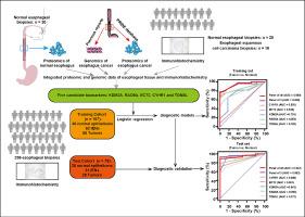 Discovery and validation of combined biomarkers for the diagnosis of esophageal intraepithelial neoplasia and esophageal squamous cell carcinoma