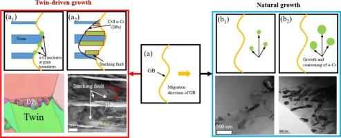 Understanding the growth of discontinuous precipitates in a Ni-45%Cr alloy driven by twins and stacking faults