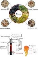 On the temperature and emissivity of torrefied biomass and coal in group particle combustion