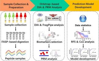 Candidate prognostic biomarkers and prediction models for high-grade serous ovarian cancer from urinary proteomics