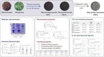 Valorization of Bombyx mori pupae and Moringa oleifera leaf as sources of alternative protein: Structural, functional and antioxidant properties