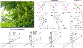 α-Glucosidase inhibitory flavonol glycosides from Cyclocarya paliurus (Batalin) Iljinskaja and their kinetics characteristics