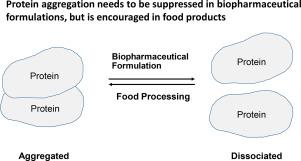 The contrasting roles of co-solvents in protein formulations and food products