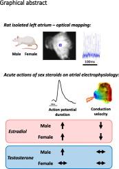 Male and female atria exhibit distinct acute electrophysiological responses to sex steroids