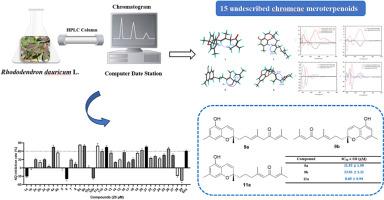 Chromene meroterpenoids from Rhododendron dauricum L. and their anti-inflammatory effects