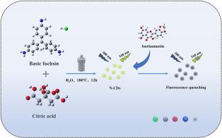 Nitrogen-doped carbon dots as green materials for sensitive and selective detection of isorhamnetin