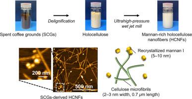 Mannan-rich Holocellulose nanofibers mechanically isolated from spent coffee grounds: Structure and properties