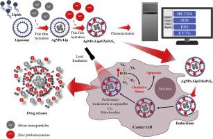 Green synthesis and characterization of AgNPs, liposomal loaded AgNPs and ZnPcS4 photosensitizer for enhanced photodynamic therapy effects in MCF-7 breast cancer cells