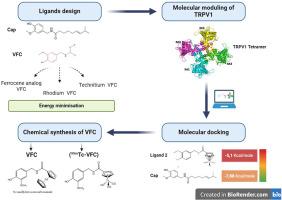 Design and experimental validation of a new radiolabeled analog of N-(3-hydroxy-4-methoxy-phenyl-methyl) ferrocene-carboxamide (VFC) targeting the TRPV1 receptor