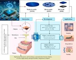 Needle scattered light guided chiplets-interfaced with AI for advanced biomedical application