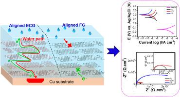 Advancing anti-corrosion performance of composite coating: Self-aligned fluorinated graphene for multifunctional electronic packaging