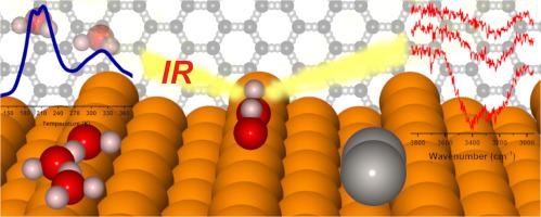 Probing water adsorption characteristics of Pt step-edge decorated Cu(211) surface