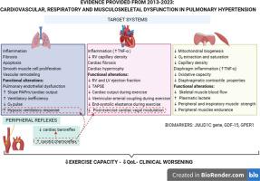 Respiratory, cardiovascular and musculoskeletal mechanisms involved in the pathophysiology of pulmonary hypertension: An updated systematic review of preclinical and clinical studies