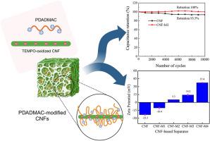 Tuning the surface charge of rice straw-derived cellulose nanofibril membrane separator for electrochemical performance enhancement of supercapacitors