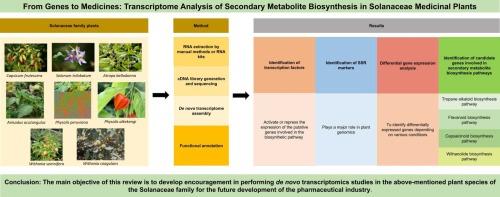 Transcriptomic Analysis of Secondary Metabolite Biosynthesis in Solanaceae Medicinal Plants