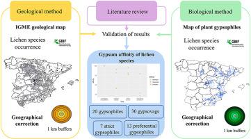 Do gypsophile lichens exist? Analysis of the affinity for the gypsum substrate of lichen species from Spain