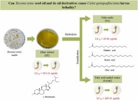 Larvicidal potential of ether extract, and its derivatives fatty acids, and fatty acid methyl esters from Tecoma stans seeds: Bioprospecting for an effective insecticide